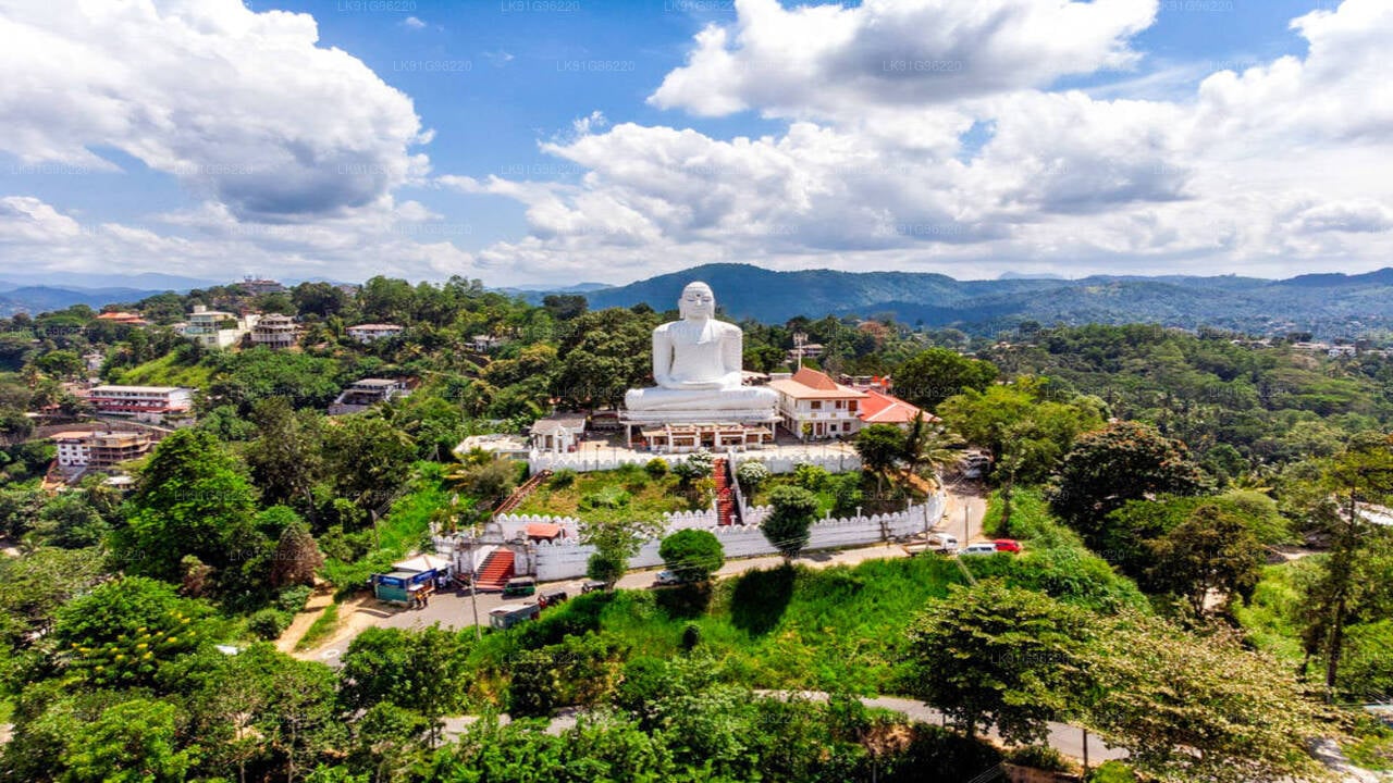 Discover Kandy by Helicopter From Ratmalana City