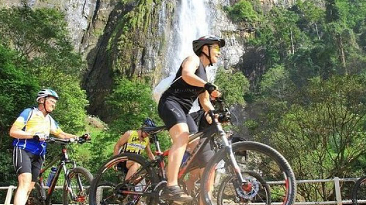 Discover Ella by Bicycle from Ella City