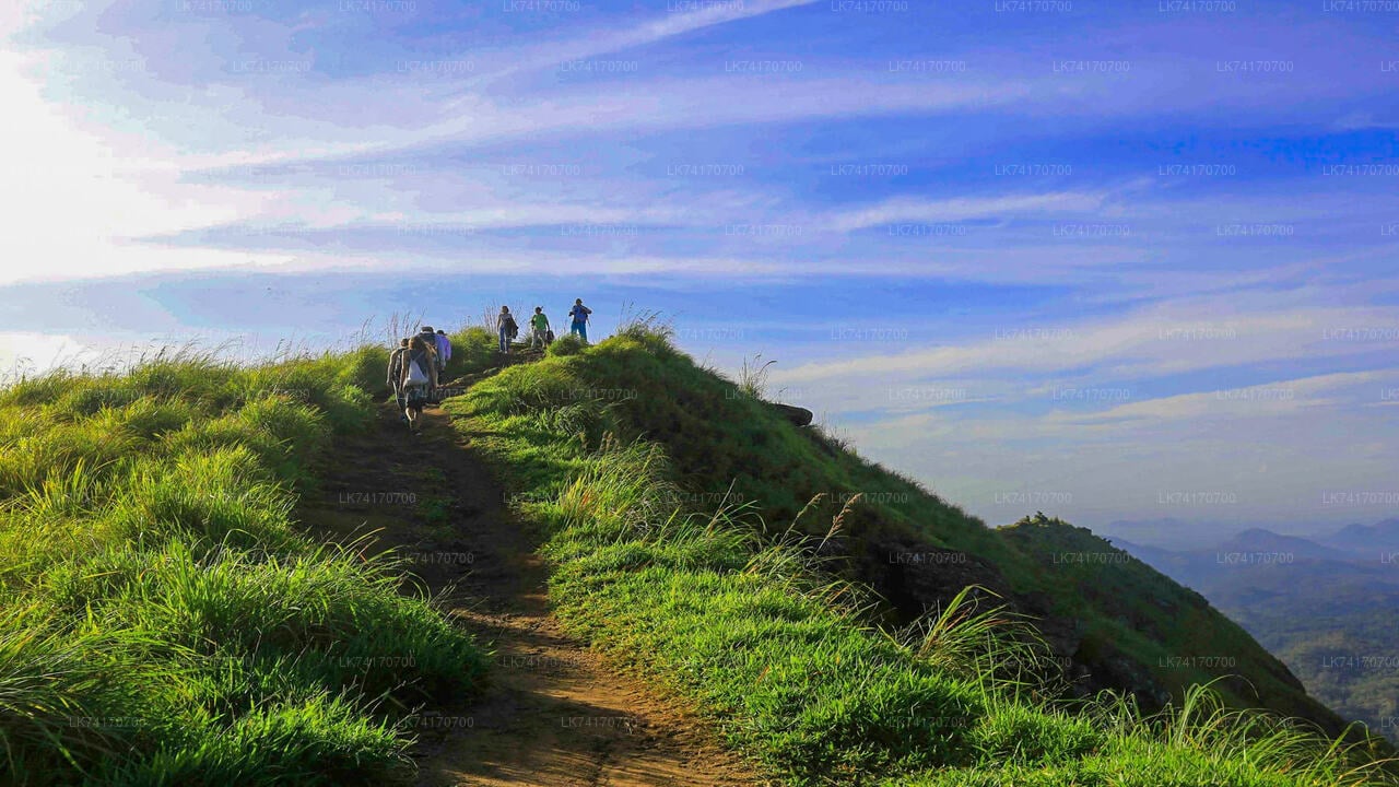 Hike to Peacock Hill from Kandy City