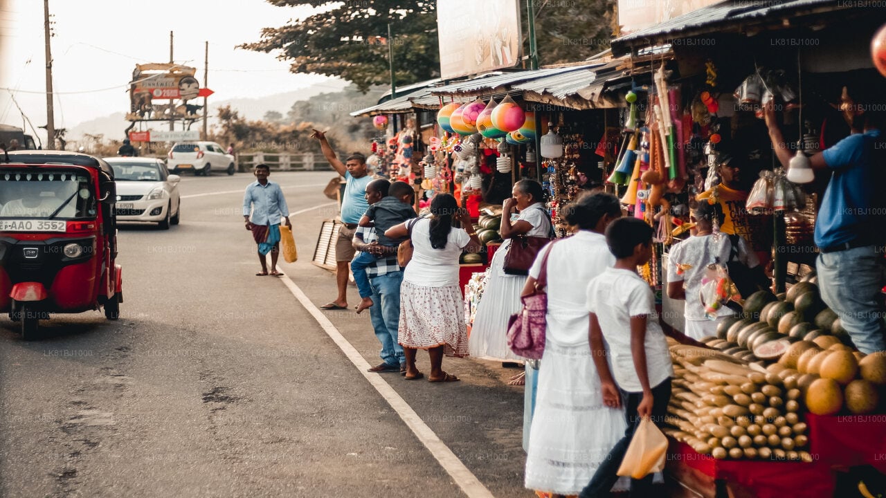 Colombo City Walk with a Local from Colombo (LKCMB) Seaport