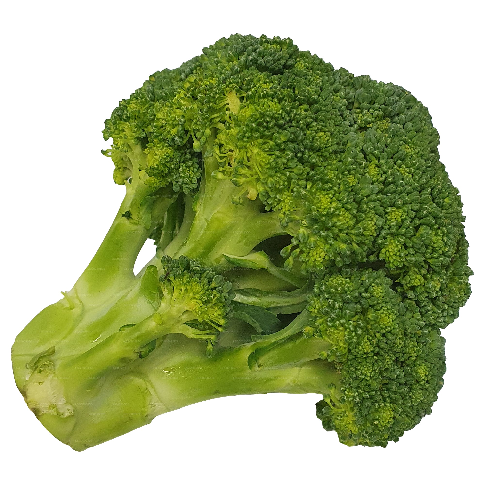 Lakpura® Broccoli