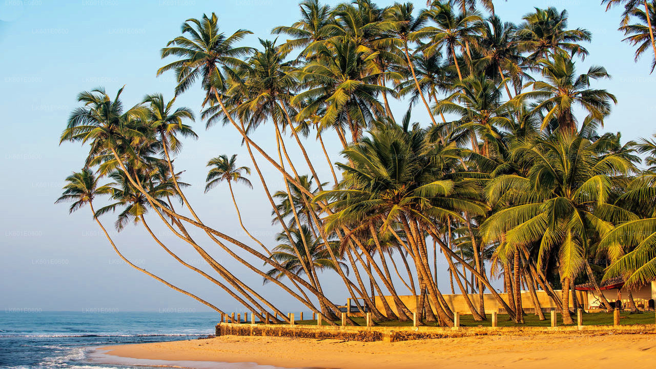 Hidden Temples and Secluded Coastline from Koggala City