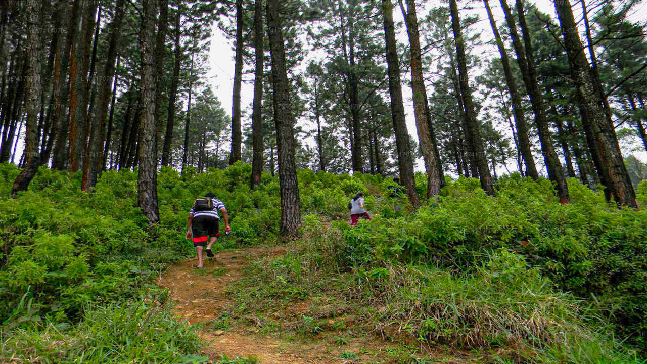 Hike to Peacock Hill from Kandy City