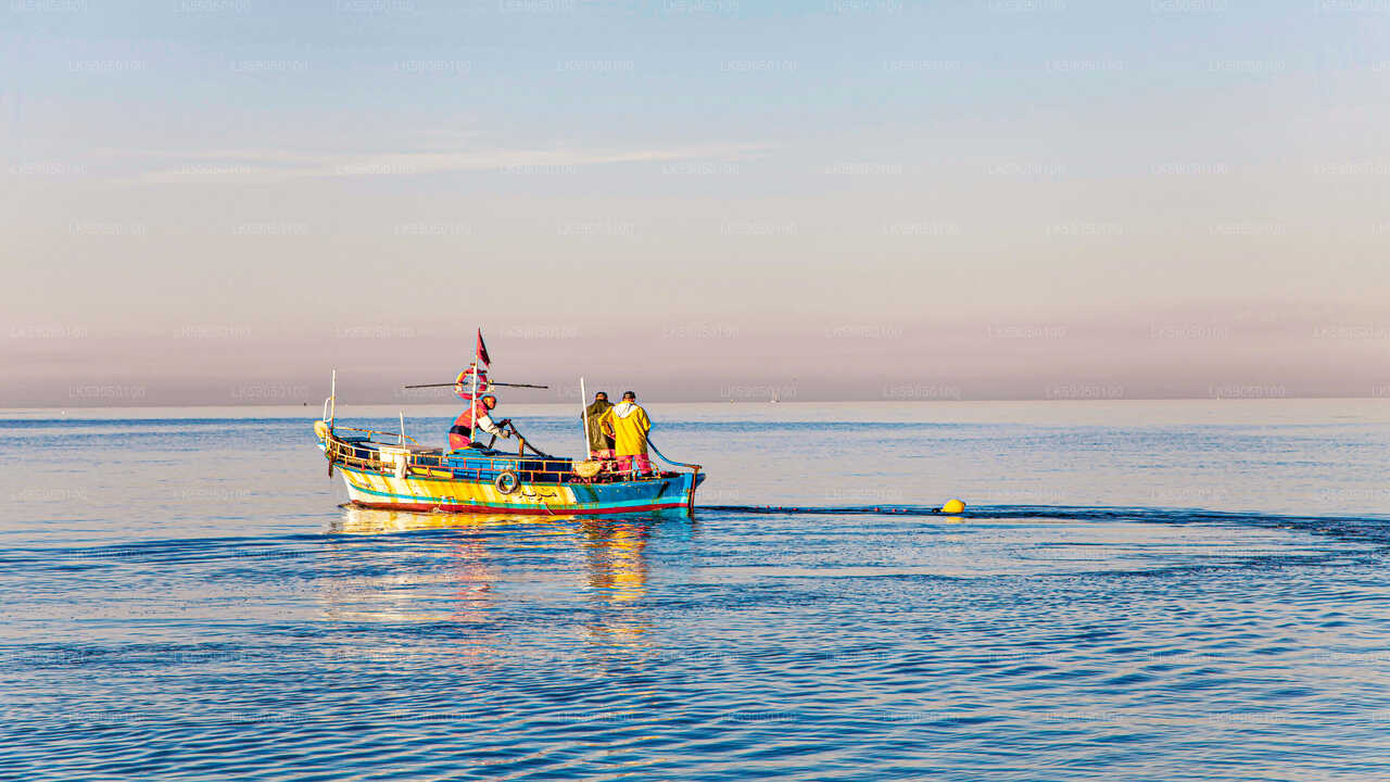 Sport Fishing from Negombo City