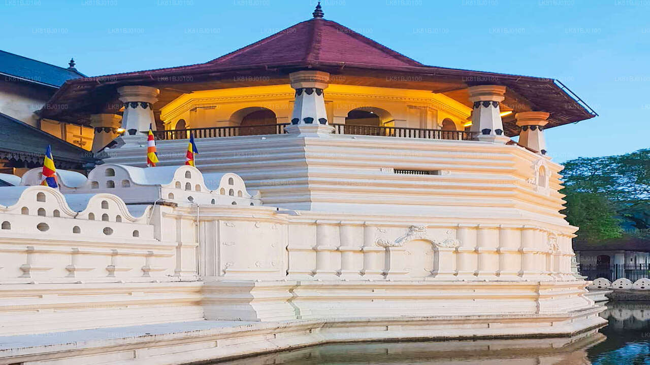 Kandy City Tour from Colombo (LKCMB) Seaport