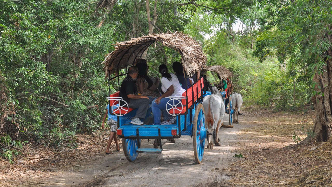 Hiriwadunna Village Tour from Habarana City