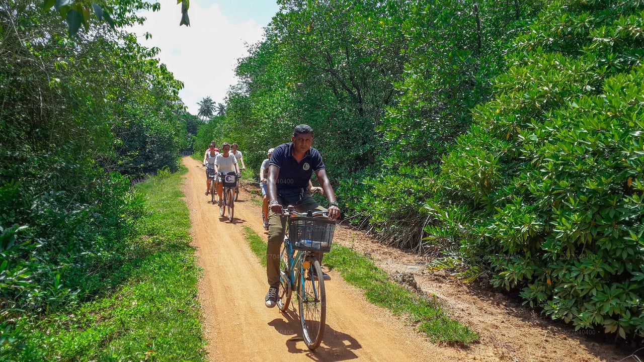 Adventure Cycling from Galle City
