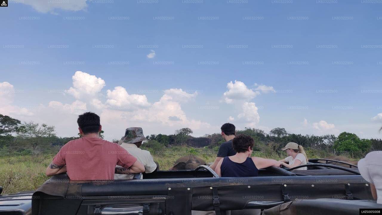 Hurulu Eco Park Private Safari from Habarana City