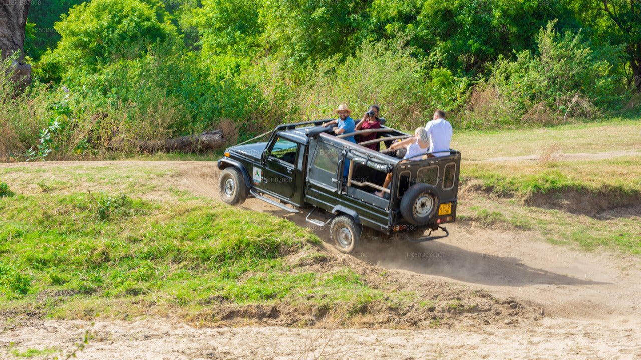 Minneriya National Park Private Safari from Polonnaruwa City