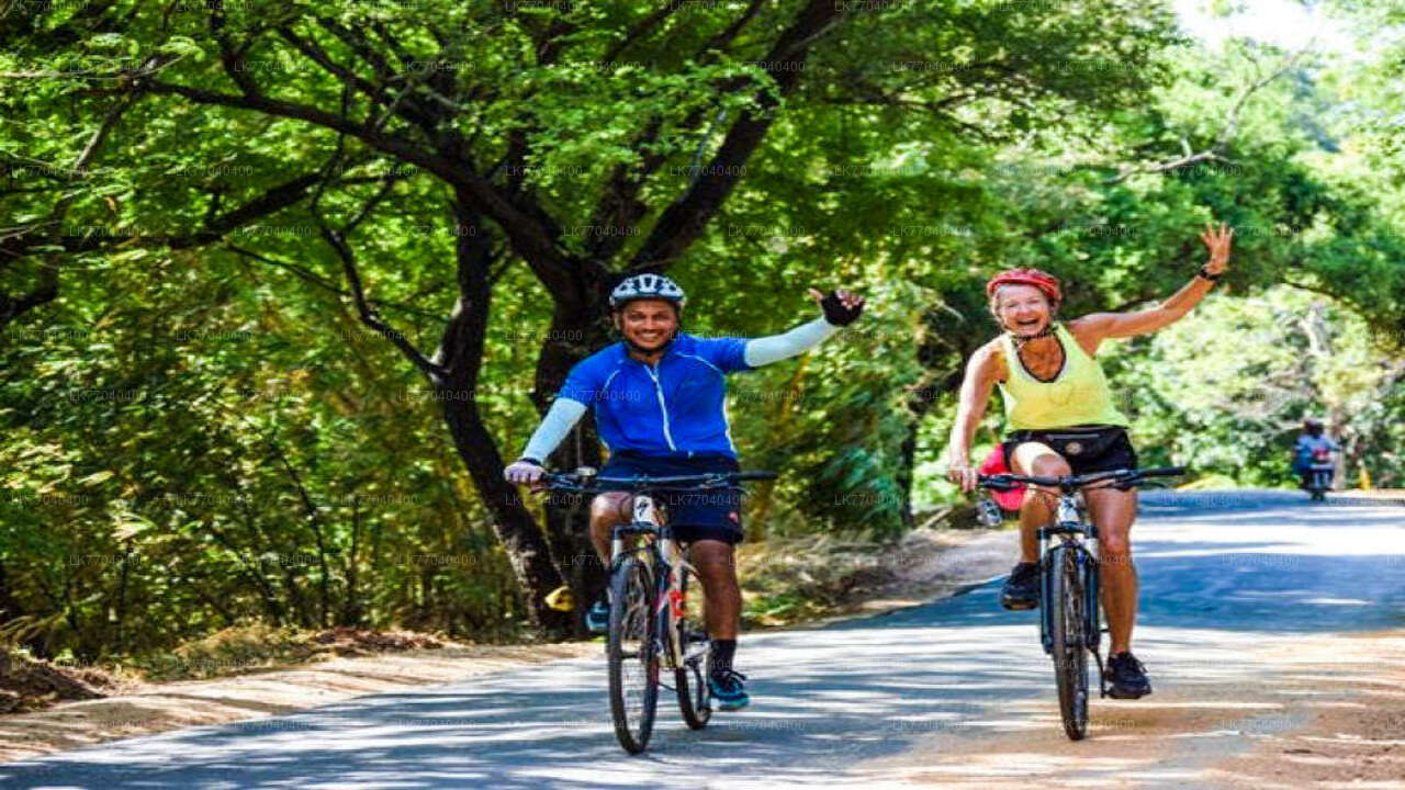 Adventure Cycling from Galle City