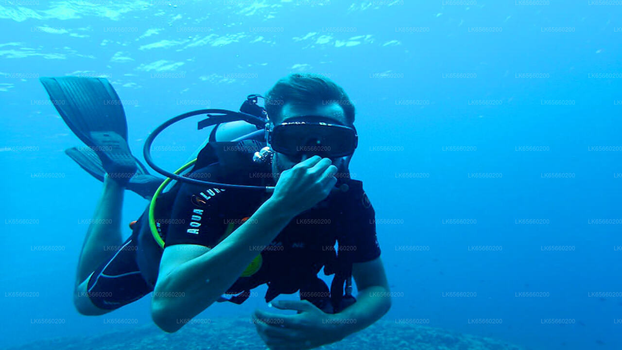 Diving from Mount Lavinia City