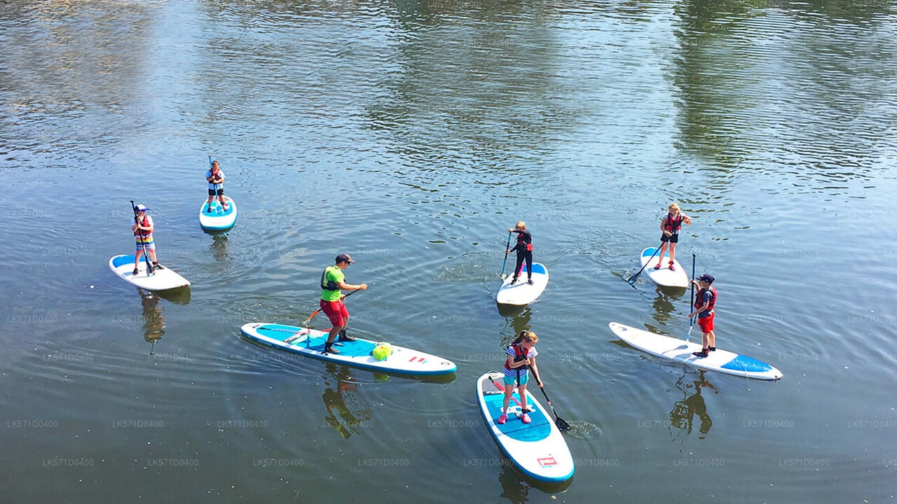 Paddle Boarding from Kitulgala City