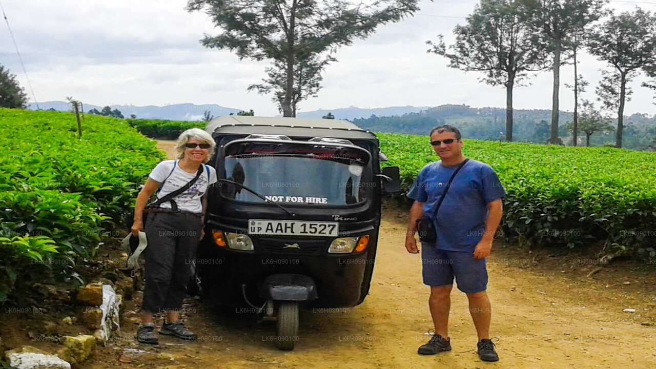 Tuk Tuk Adventure from Ella City