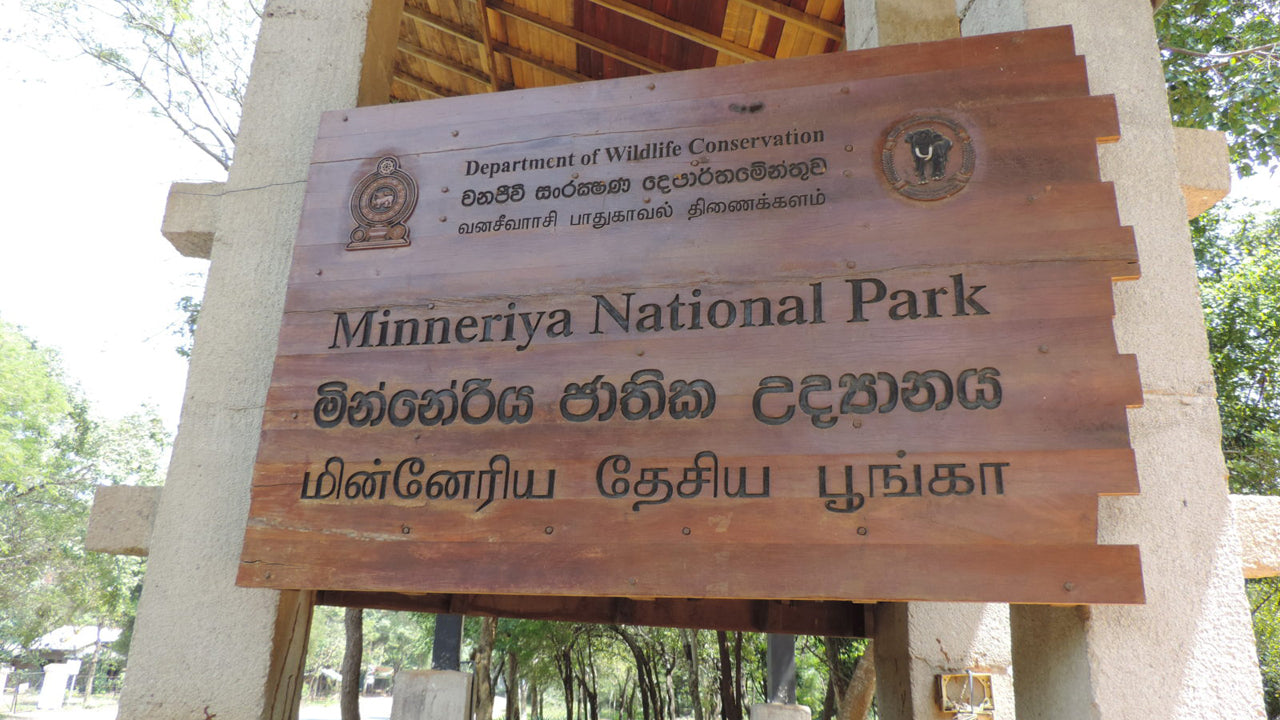 Minneriya National Park Entrance Tickets