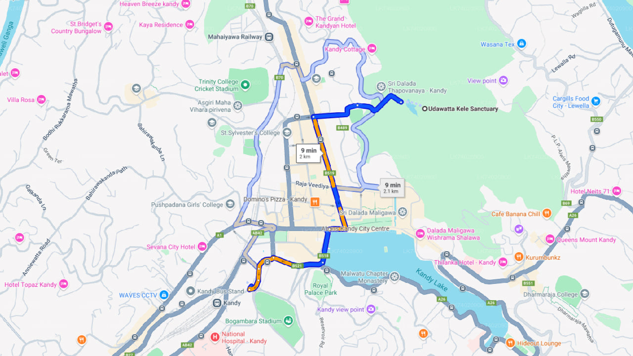 Udawattakele Forest Reserve Hike from Kandy City
