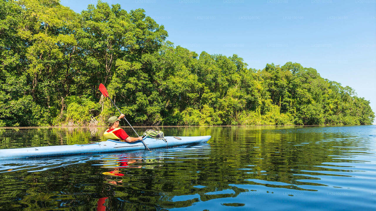 Canoeing from Kitulgala City