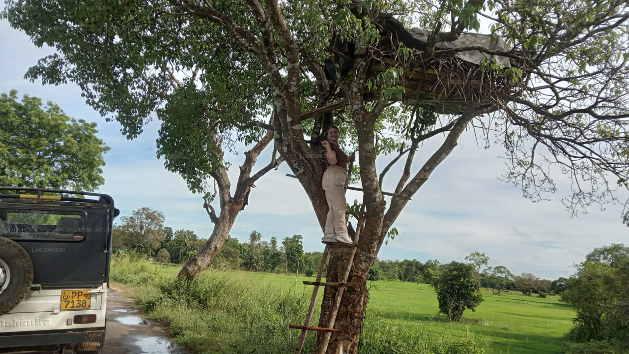 Hiriwadunna Village Tour from Habarana City