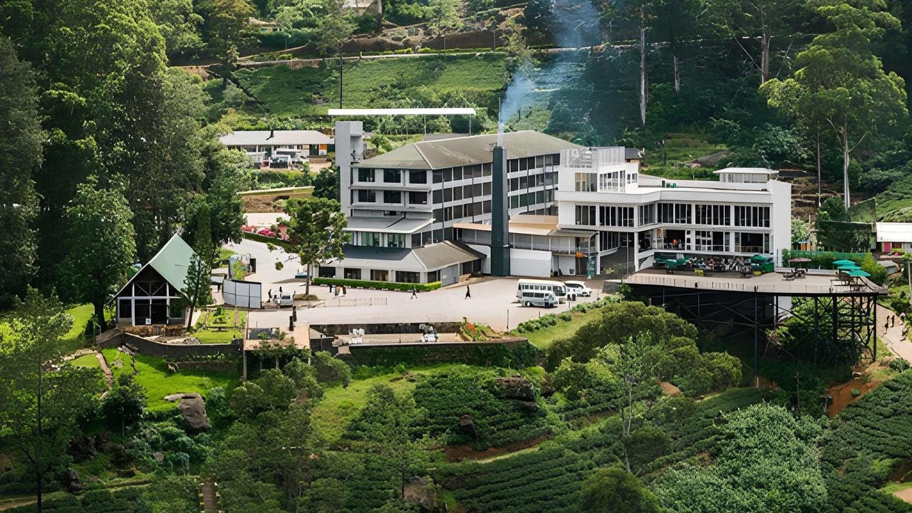 Tea Factory Tour from Nuwara Eliya