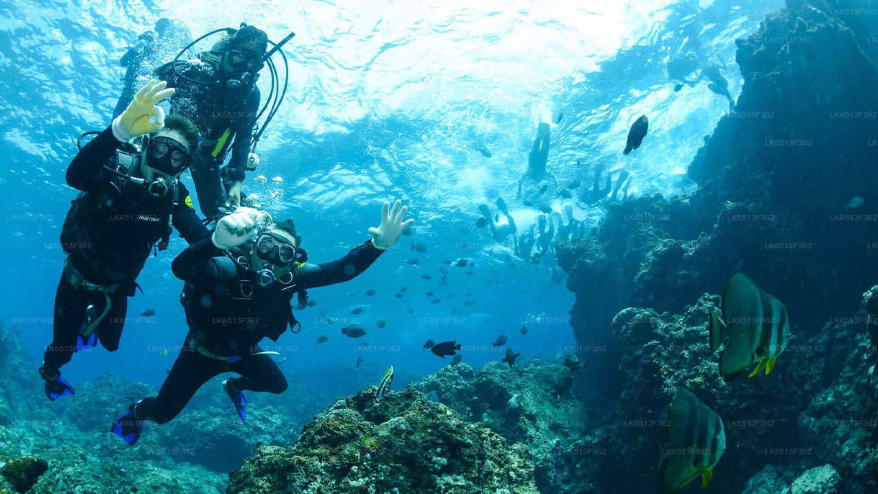 Discover Scuba Diving from Bentota City