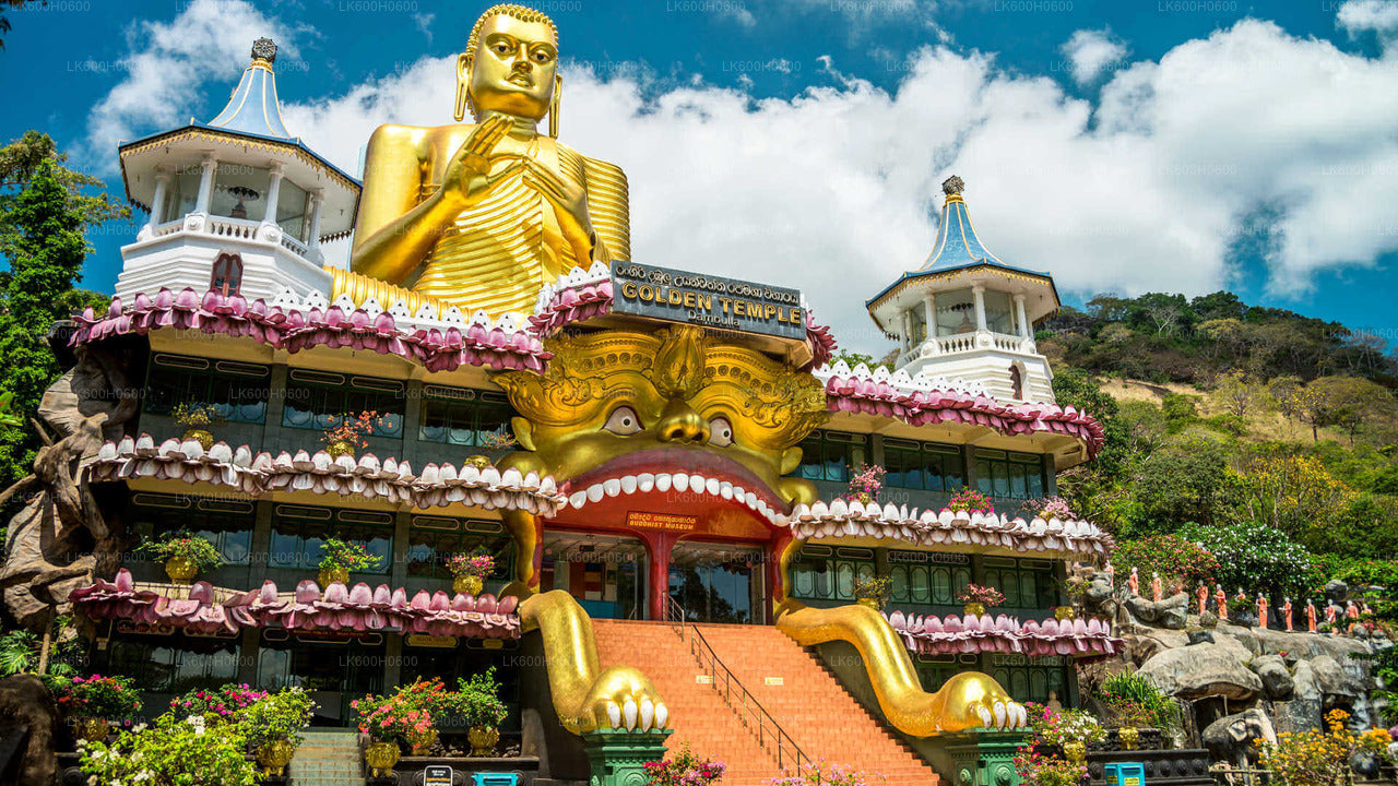 Sigiriya, Dambulla and Village Tour from Colombo City