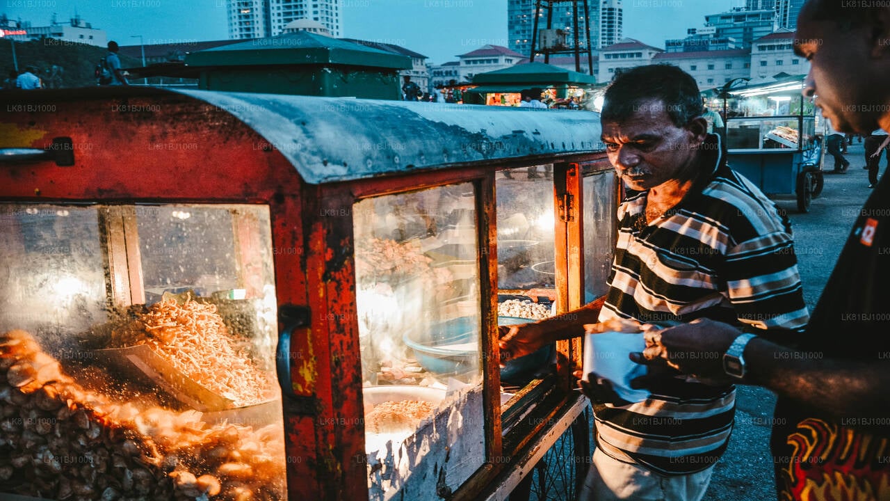 Colombo City Walk with a Local from Colombo (LKCMB) Seaport