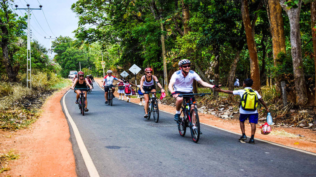 Cave Temple Cycling Tour from Ella City