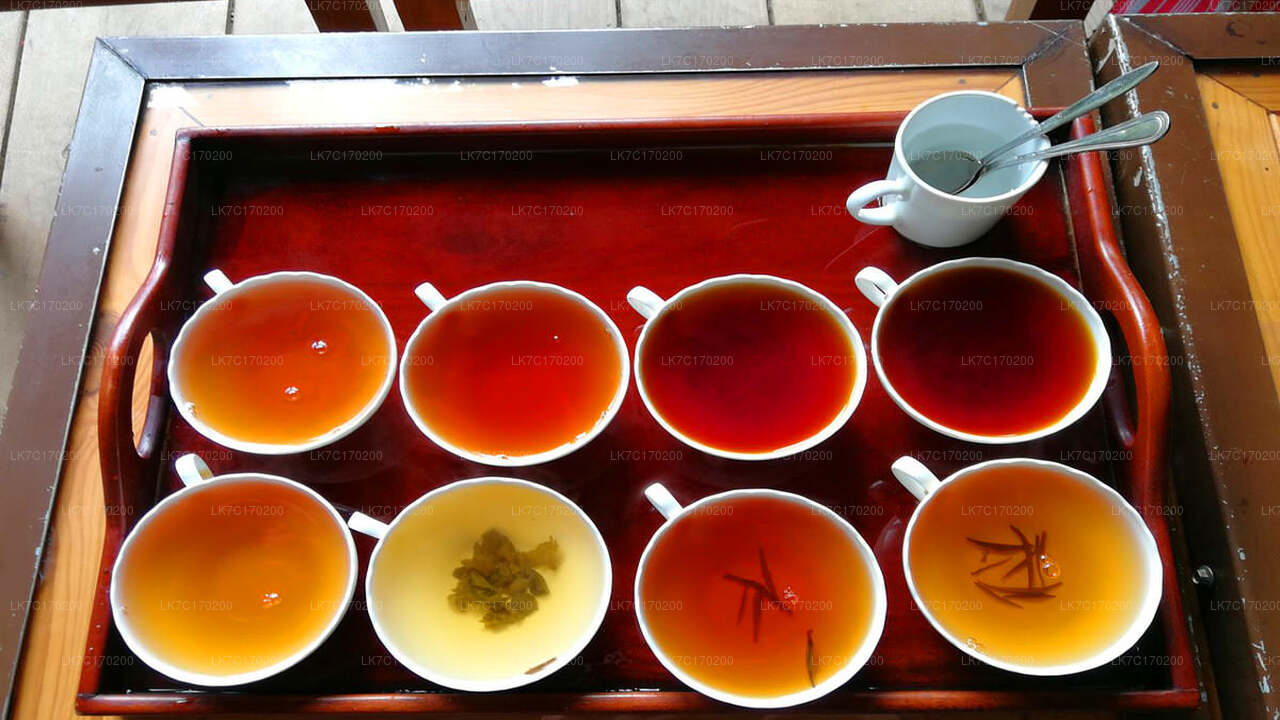 Ceylon Tea Tasting from Kandy City