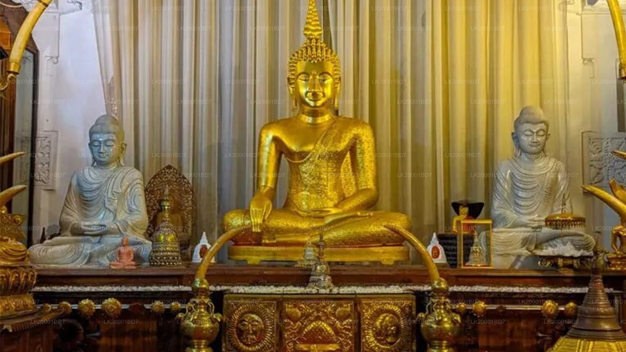 Temple of The Sacred Tooth Relic Guided Tour