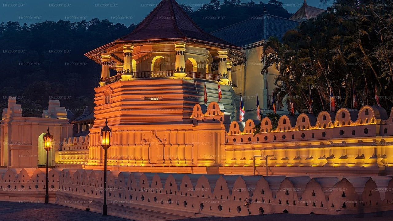 Temple of The Sacred Tooth Relic Guided Tour