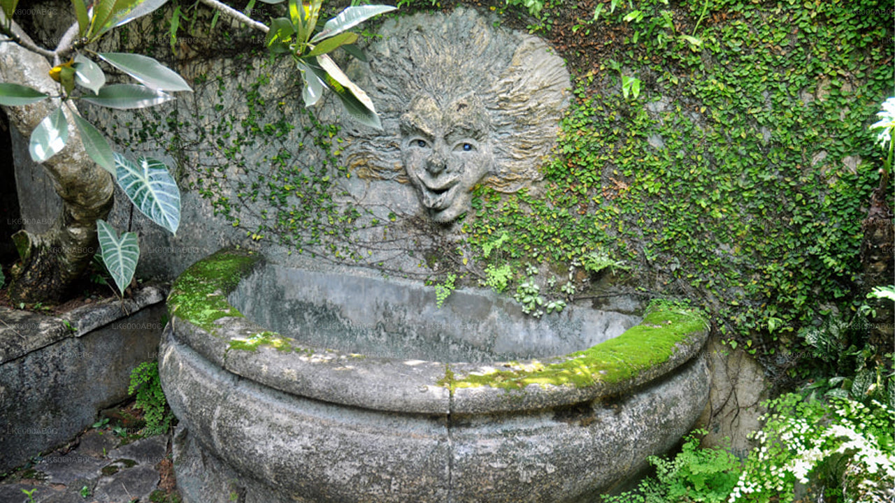 Brief Garden Tour and Lunch from Colombo City