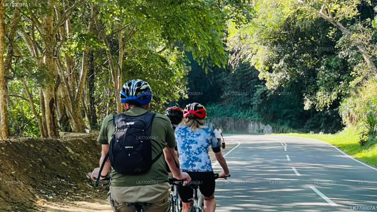 Discover Ella by Bicycle from Ella City