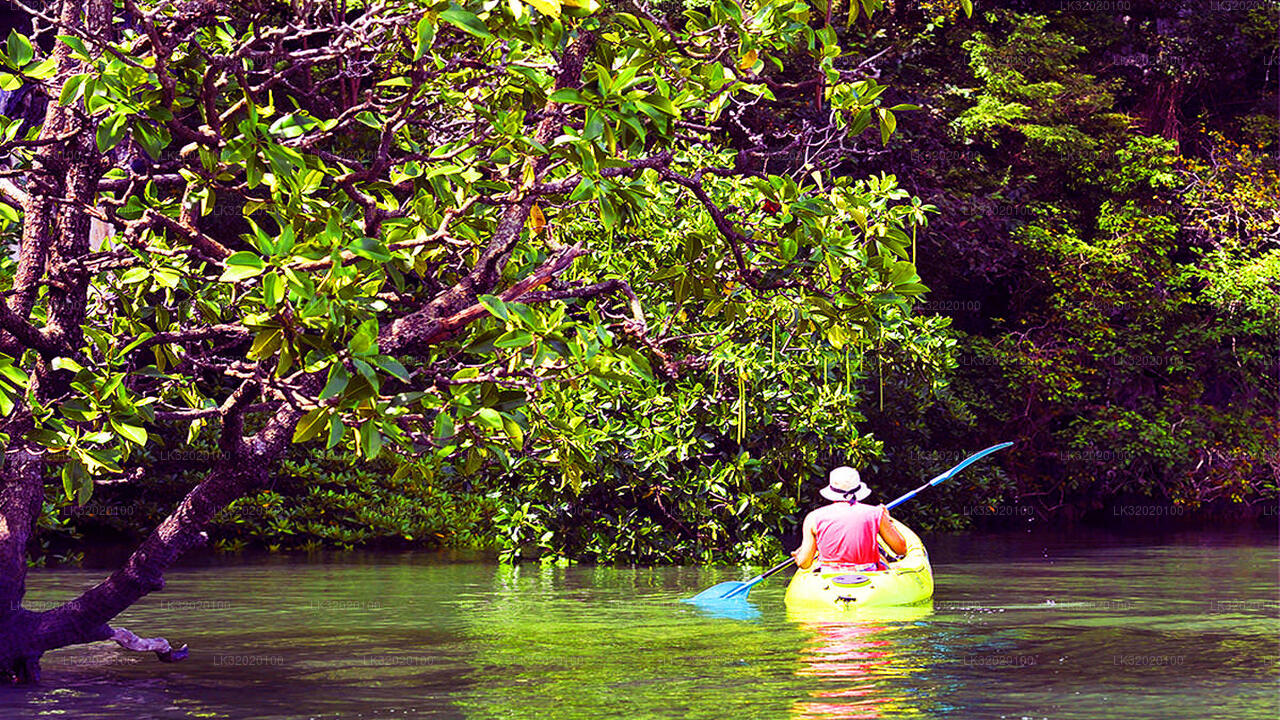 Canoeing in Mahaweli River from Kandy City