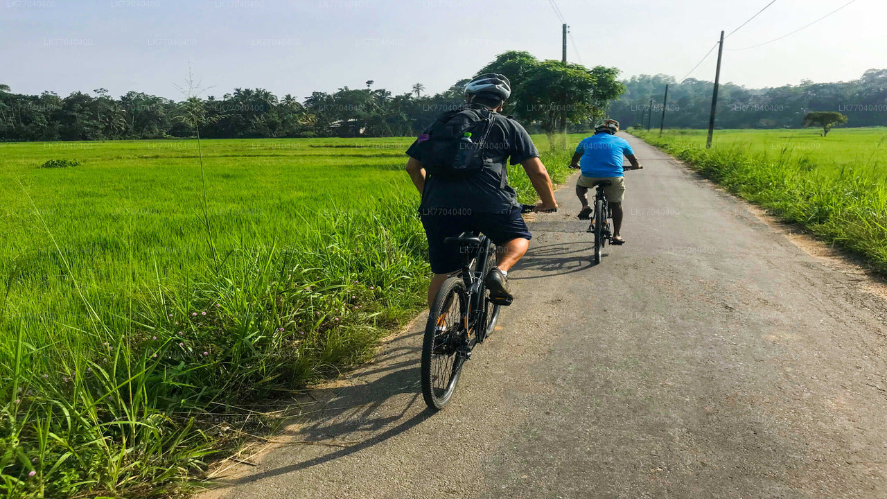 Adventure Cycling from Galle City