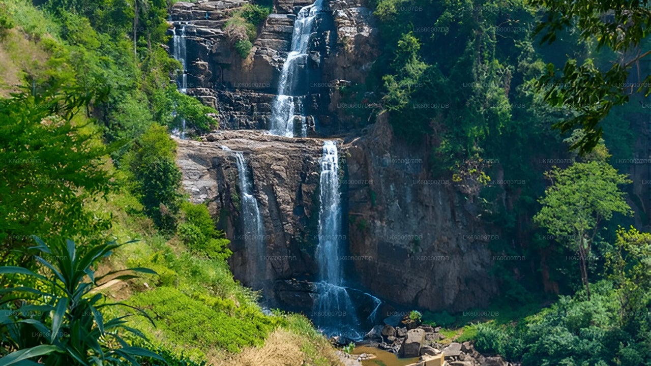 Private Transfer from Kandy to Ella with Scenic Stops
