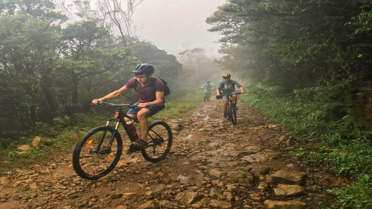Devil's Staircase by Bicycle from Ohiya City