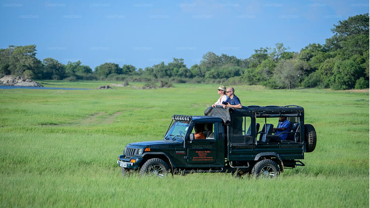 Udawalawe National Park Safari from Dikwella City