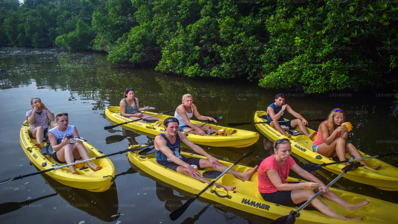 Kayaking from Ahungalla City