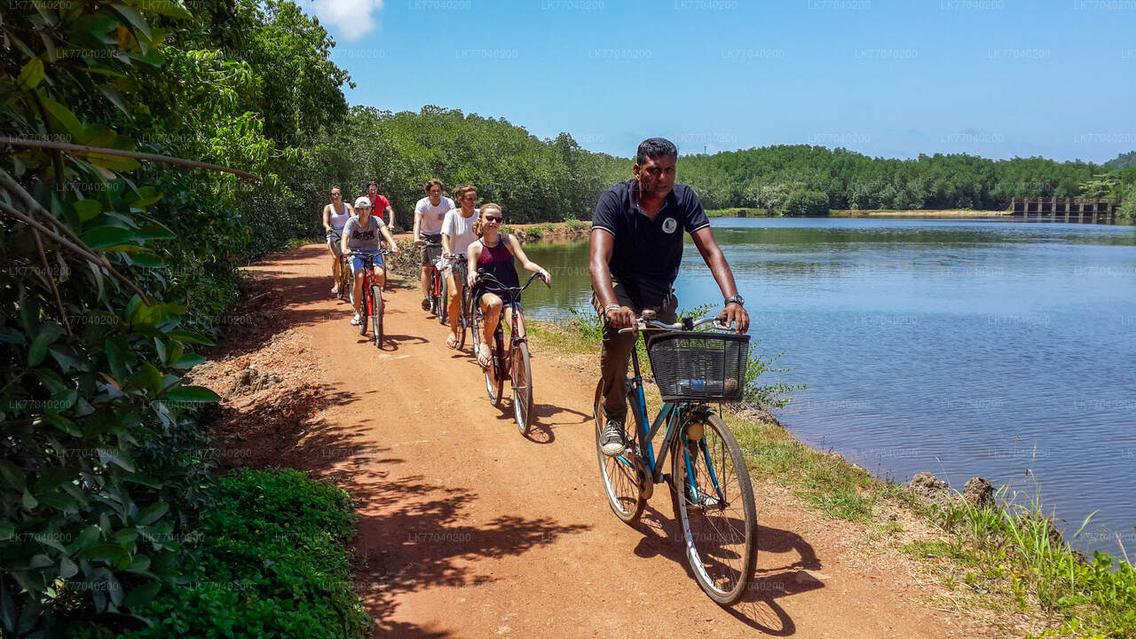 Countryside by Bicycle from Galle City
