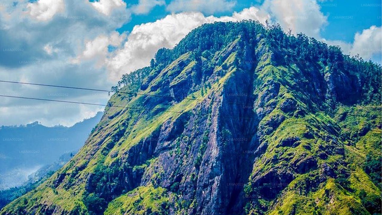 Little Adam's Peak Hike and Zip-lining from Ella City