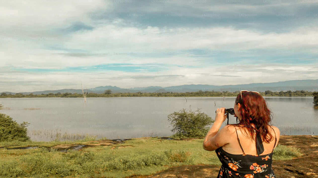 Birdwatching at Udawalawe National Park from Mount Lavinia City