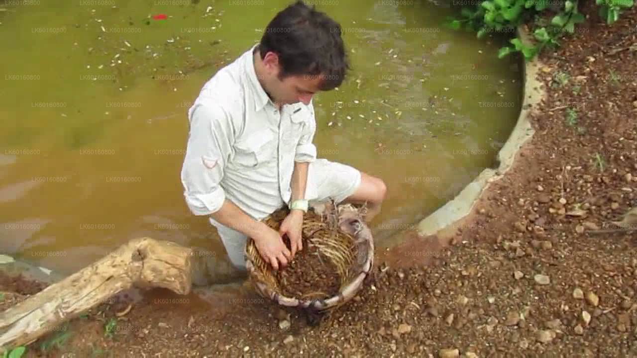 Explore Gem Mines in Rathnapura from Wadduwa City