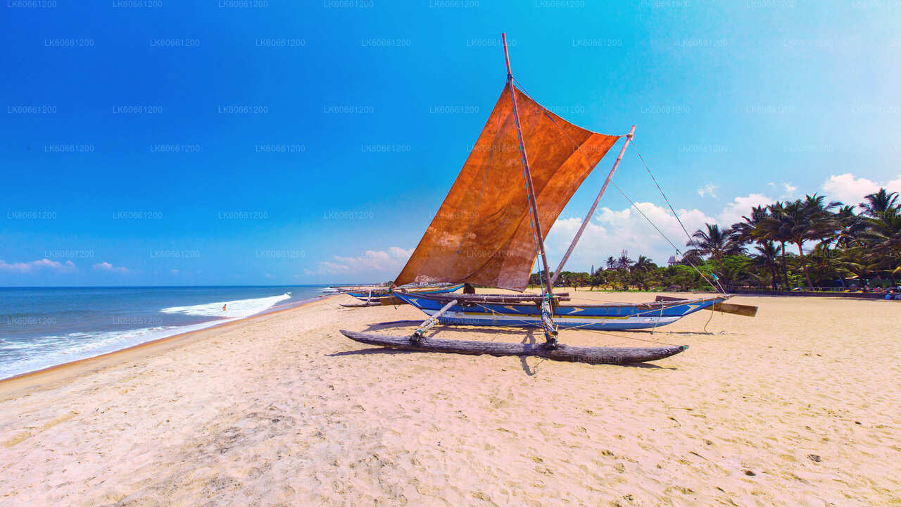 Negombo City Tour from Mount Lavinia City