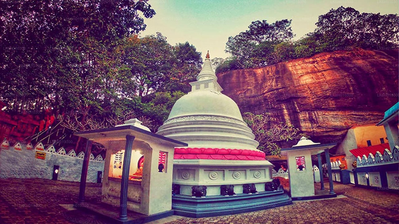 Temple Run by Tuk Tuk from Colombo City