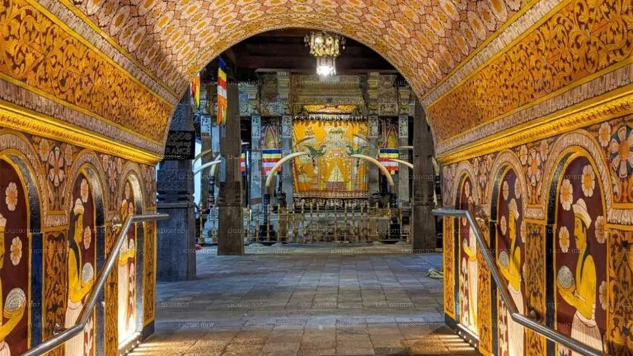 Temple of The Sacred Tooth Relic Guided Tour