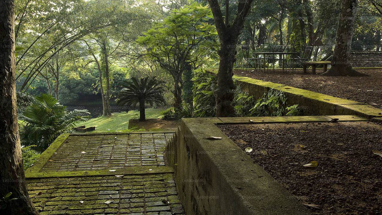 Bentota City Tour from Colombo City