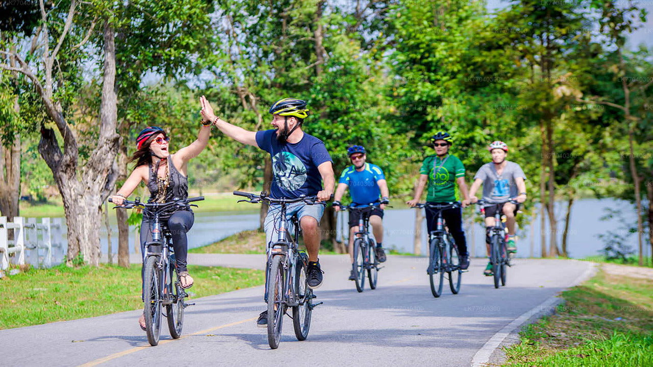 Dutch Fort and City by Bicycle from Galle City
