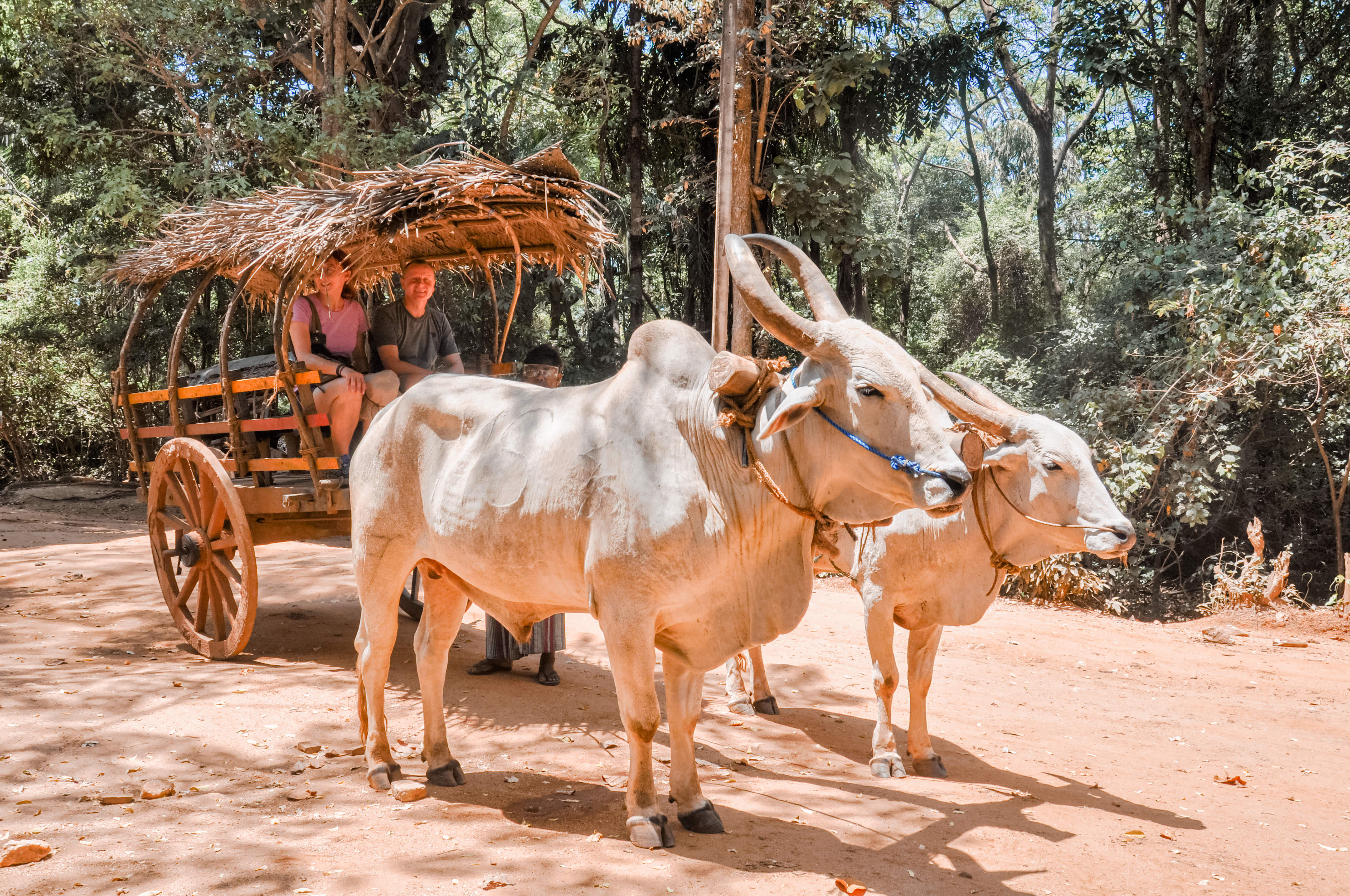 Wildlife and World Heritage Tour from Bentota (2 Days)
