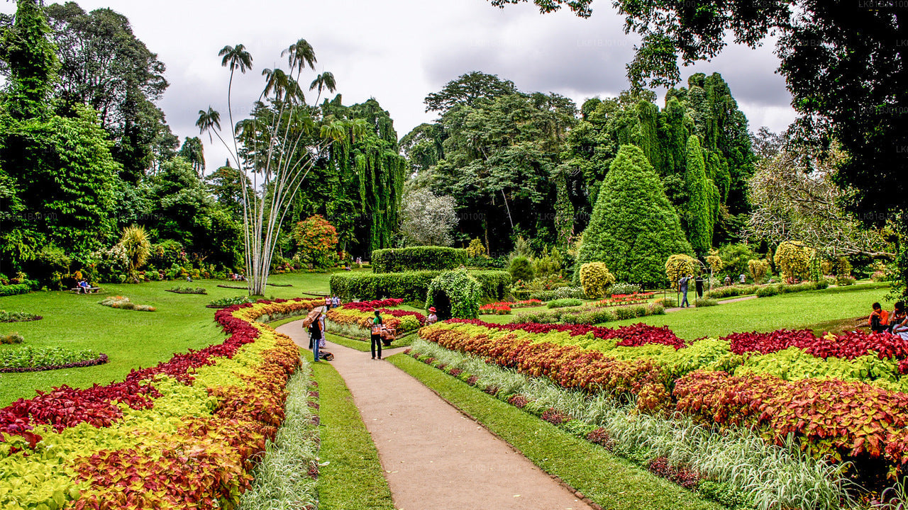 Kandy City Tour from Colombo (LKCMB) Seaport