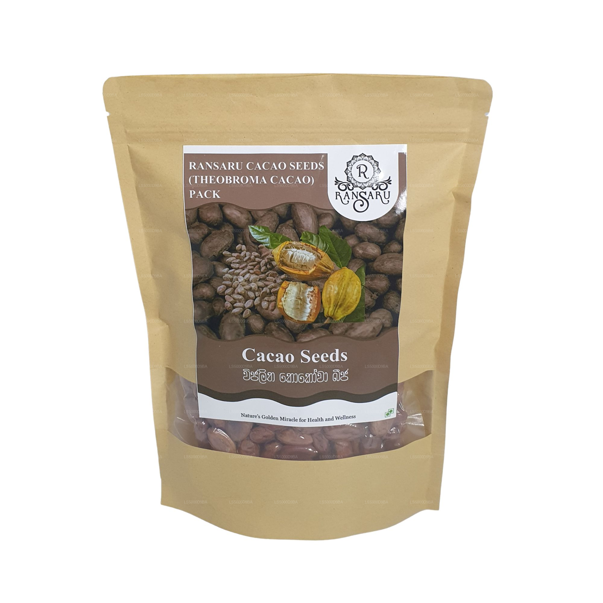 Ransaru Cacao Seeds (Theobroma cacao) Pack