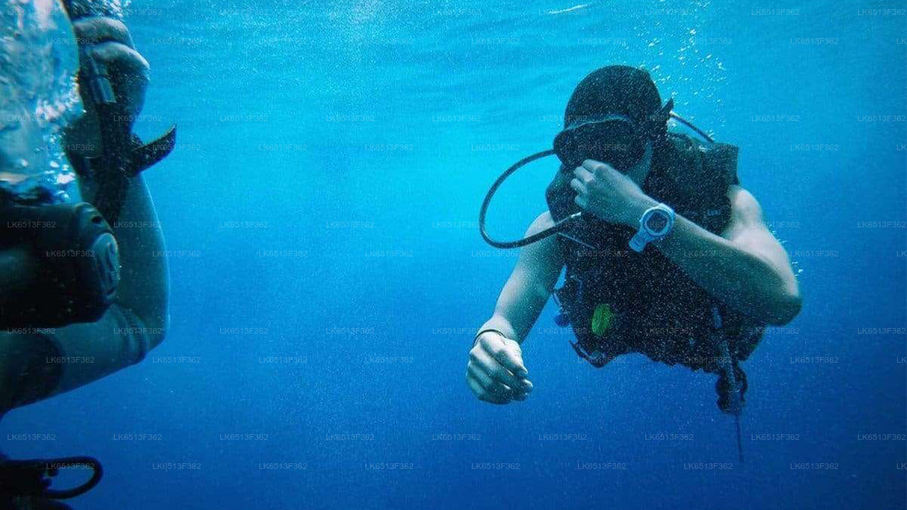 Discover Scuba Diving from Bentota City